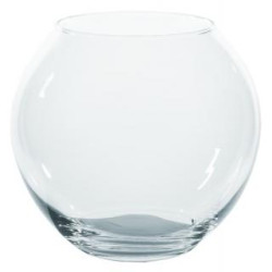 #0034 akvagula_10074