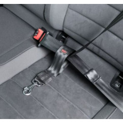 #4424 trixie_TX12773