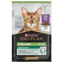 #4656 proplan_12625140