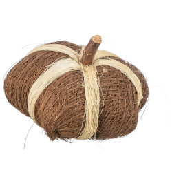 #4694 tekvica_TX61814