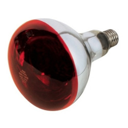 #4787 ziarovka_PAR150